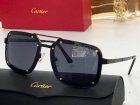 Cartier High Quality Sunglasses 12
