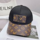 Louis Vuitton High Quality Hats 345