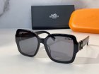 Hermes High Quality Sunglasses 224