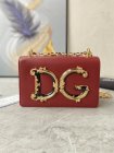Dolce & Gabbana Original Quality Handbags 70