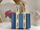 Chloe Original Quality Handbags 167