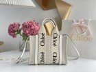 Chloe Original Quality Handbags 169