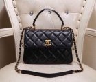 Chanel High Quality Handbags 1002