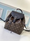 Louis Vuitton Original Quality Handbags 596