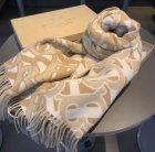 Burberry Scarves 270