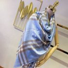 Burberry Scarves 481