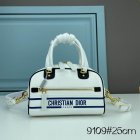 DIOR High Quality Handbags 247