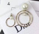 Dior Jewelry Earrings 227