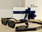 DIOR High Quality Sunglasses 295