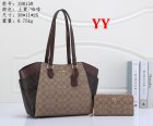 Coach Normal Quality Handbags 253