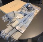 Burberry Scarves 36