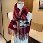 Burberry Scarves 129