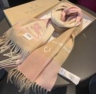 Burberry Scarves 223