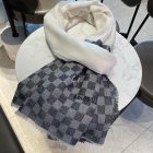 Louis Vuitton Scarves 147