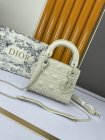 DIOR High Quality Handbags 884