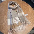 Burberry Scarves 153
