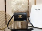 CELINE Original Quality Handbags 273