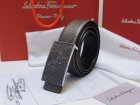 Salvatore Ferragamo High Quality Belts 143