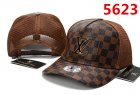 Louis Vuitton Normal Quality Hats 87
