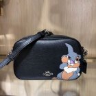 Coach High Quality Handbags 395