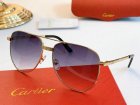 Cartier High Quality Sunglasses 989