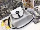 DIOR Original Quality Handbags 309