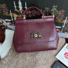 Dolce & Gabbana High Quality Handbags 235