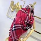 Burberry Scarves 480