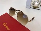 Cartier High Quality Sunglasses 571