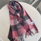 Burberry Scarves 34
