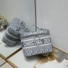 DIOR High Quality Handbags 07