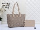 Coach Normal Quality Handbags 132