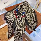 DIOR Scarves 146