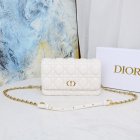 DIOR High Quality Handbags 132