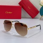 Cartier High Quality Sunglasses 480