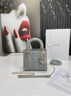DIOR High Quality Handbags 160
