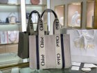 Chloe Original Quality Handbags 138