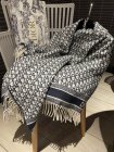 DIOR Scarves 109
