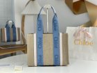 Chloe Original Quality Handbags 276