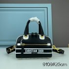 DIOR High Quality Handbags 248