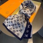 Louis Vuitton Scarves 38