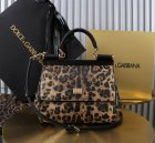 Dolce & Gabbana High Quality Handbags 674