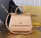Dolce & Gabbana High Quality Handbags 613