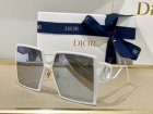DIOR High Quality Sunglasses 1134