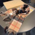 Burberry Scarves 172