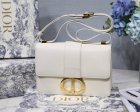 DIOR High Quality Handbags 61