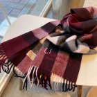 Burberry Scarves 402