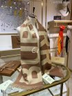 Burberry Scarves 261