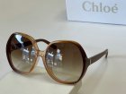 Chloe High Quality Sunglasses 155