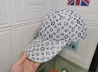 Louis Vuitton High Quality Hats 291